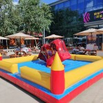 Mechanical Rodeo Factory - China Kids Inflatable Commercial Bull Ride