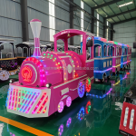 Amusement Train Factory - Adults Indoor Tourist Train Electric Outdoor