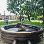 Bull Riding Machine Manufacturer - Kids Adults Inflatable Bull Riding