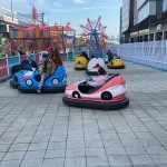 Electric Bumper Manufacturer - Children Adults Kids Electric Bumper