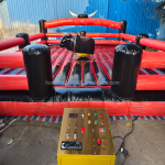 Bull Riding Machine Manufacturer - Kids Adults Inflatable Bull Riding