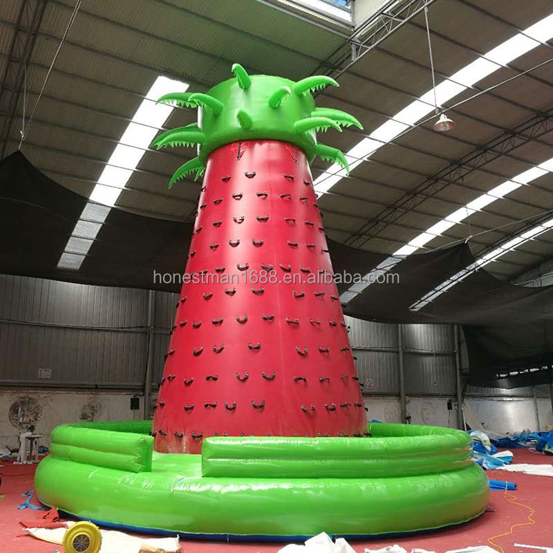 Climbing Wall Supplier - Hot Outdoor Inflatable Climbing Wall Bridge