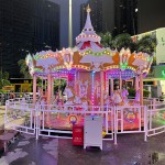 Merry-Go-Round Supplier - Sale Indoor Adults Merry Go Round