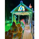 Track Train Supplier - Amusement Park Electric Track Train Mini