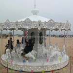 Merry-Go-Round Supplier - Indoor Adults Merry Go Round Babies
