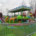 Roller Coaster Supplier - Outdoor Amusement Park Kids Electric Small