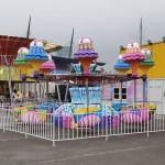 Family Ride Manufacturer - 24 Seats Themenpark Family Ride Samba