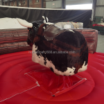 Bull Riding Machine Factory - China Kids Inflatable Equipment Bull