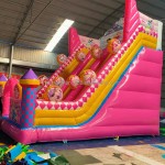 Bouncing House Supplier - PVC Bouncing House Spiderman Bouncer