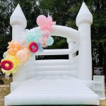 PVC Castle Supplier - PVC Bouncing Jumping Castle with Slide