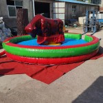 Bull Ride Equipment Supplier - Kids China Adults Bull Ride Machine