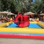 Mechanical Rodeo Factory - China Kids Inflatable Commercial Bull Ride