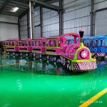 Amusement Train Factory - Adults Indoor Tourist Train Electric Outdoor