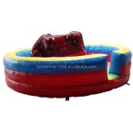 Inflatable Bull Manufacturer - China Kids Adults Commercial Bull Riding