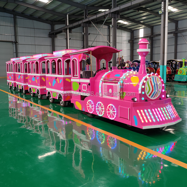 Trackless Train Manufacturer - Indoor Adults Tourist Train Electric Kids