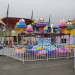 Family Ride Manufacturer - 24 Seats Themenpark Family Ride Samba