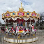 Merry-Go-Round Supplier - Indoor Adults Merry Go Round Babies