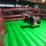 Bull Riding Machine Manufacturer - Kids Adults Inflatable Bull Riding