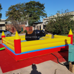 Bull Riding Machine Supplier - China Inflatable Bull Riding Machine