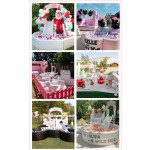 Bouncy Wedding Castle Factory - White Jumper Slide Soft Play Bouncing