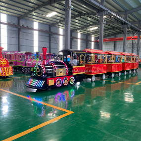 Tourist Ride Manufacturer - Resort Tourist Outdoor Fun Amusement Kids