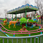 Roller Coaster Manufacturer - 12 Seats Toys Set Electric Adults Kids