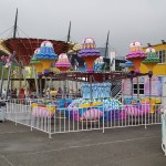 Self Control Plane Factory - 24 Seats Theme Park Samba Balloon Ride