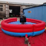 Bull Riding Machine Factory - China Equipment Bull Riding Machine Adults