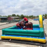 Rodeo Game Factory - Adults Equipment Bull Ride Mechanical Rodeo
