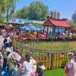 Roller Coaster Supplier - 12 Seats Toys Set Electric Outdoor Adults