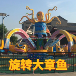 Theme Park Ride Factory - 30 Seats Adults Self Control Plane Octopus