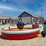 Bull Riding Manufacturer - China Equipment Adults Bull Riding Machine
