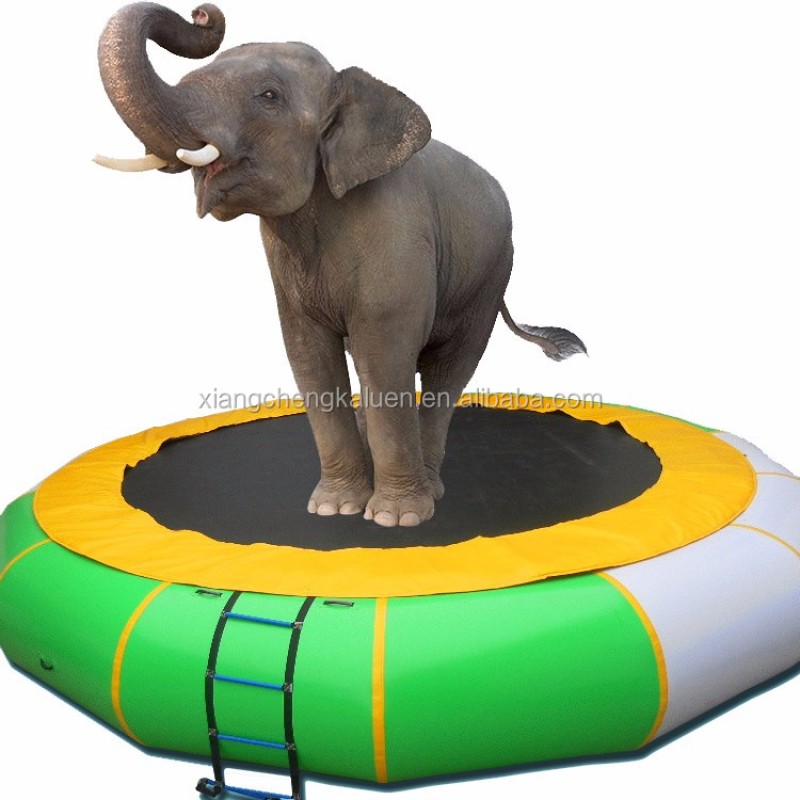 Water Toys Manufacturer - 2025 New Design Inflatable Floating Bridge