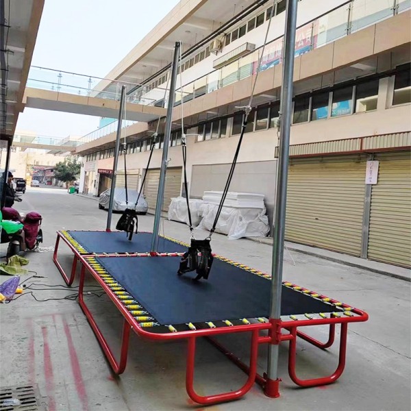 Bungee Jumping Factory - 2023 Hot Sale Two Jumpers Double Bungee