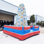 Climbing Wall Factory - Hot Sale 5x5m Inflatable Climbing Wall