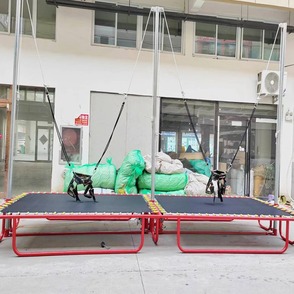 Double Trampoline Factory - Cheap Factory Price Kids Bungee Jumping