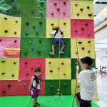 Climbing Holds Supplier - Hot Sale Plastic Playground Rock Climbing