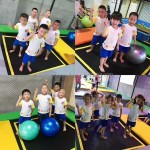 Jumping Trampoline Factory - Professional Customized Colorful Children