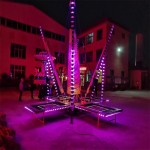 Electric Bungee Factory - Four Way Bungee with Trailer LED Lights
