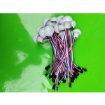 Amusement Lights Manufacturer - Fun Lights High Quality for Amusement