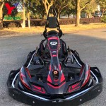 Electric Go Kart Supplier - Factory Direct 350W 54V Four Wheels