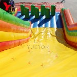 Inflatable Water Slide Factory - Customized Car Styling Big Castle