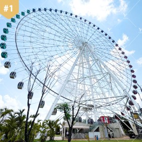 Ferris Wheel Manufacturer - 88m Giant Fairground Attraction Wheel