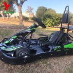 Electric Go Kart Supplier - Factory Direct 350W 54V Four Wheels