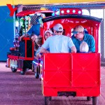 Electric Trackless Train Factory - Customer Feedback RGB Light Mall