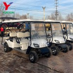 Electric Golf Cart Supplier - Battery Powered Club Car