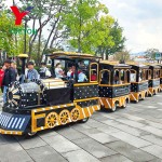 Electric Trackless Train Factory - Customer Feedback RGB Light Mall