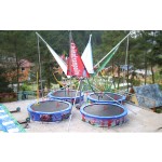 Bungee Trampoline Factory - Hot Sale Park Carousel Bungee Jump