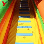 Inflatable Water Slide Factory - Customized Car Styling Big Castle
