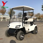 Electric Golf Cart Supplier - Battery Powered Club Car